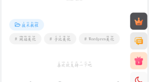 文章标签美化子比主题 - 凡星爱分享-凡星爱分享